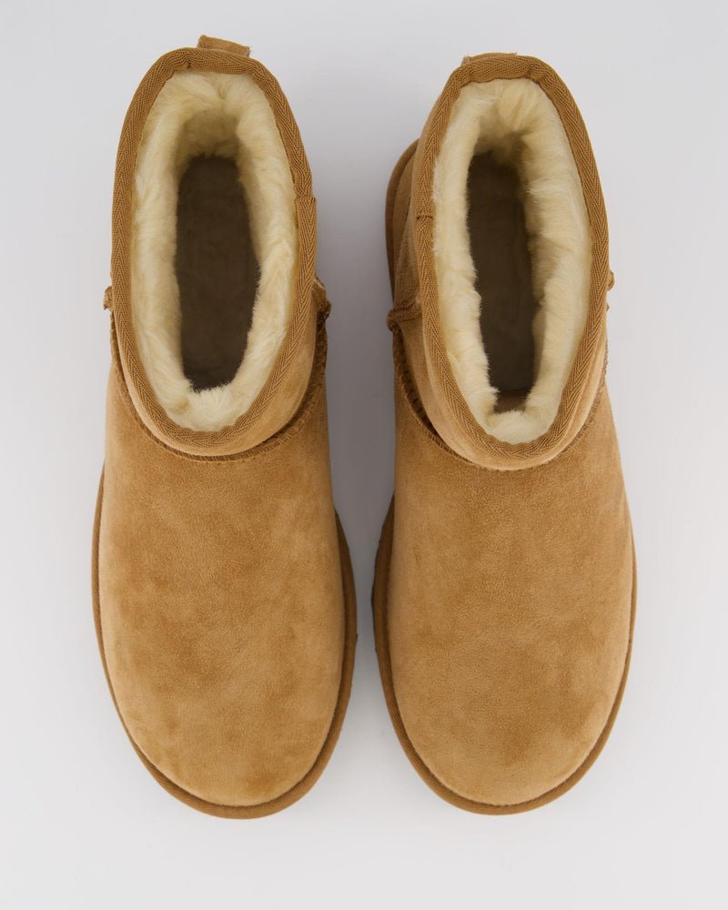 UGG Classic Mini Boots - Chestnut (Women’s)